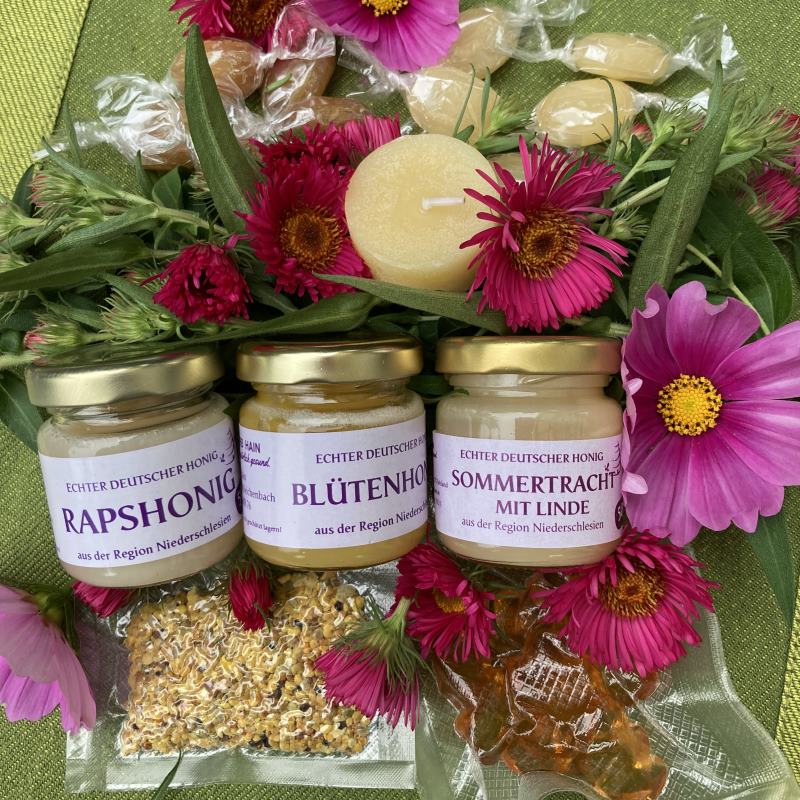 Bienenkorb Hain - Rapshonig, Blütenhonig, Sommertracht